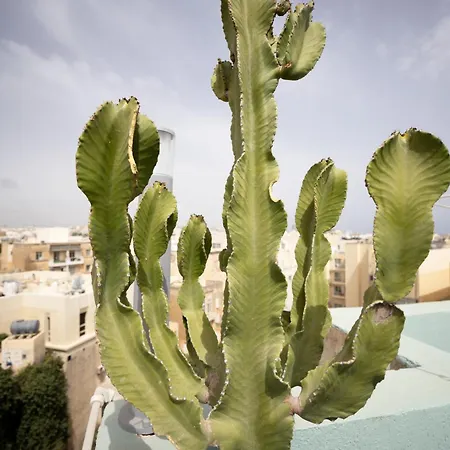 Beautiful Penthouse, Sun Terrace, Jacuzzi Goslm-8 Apartment