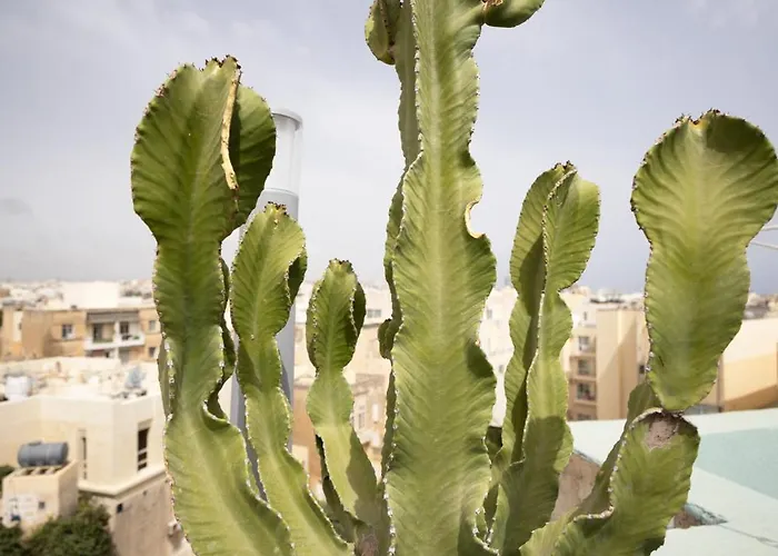 Beautiful Penthouse, Sun Terrace, Jacuzzi Goslm-8 아파트